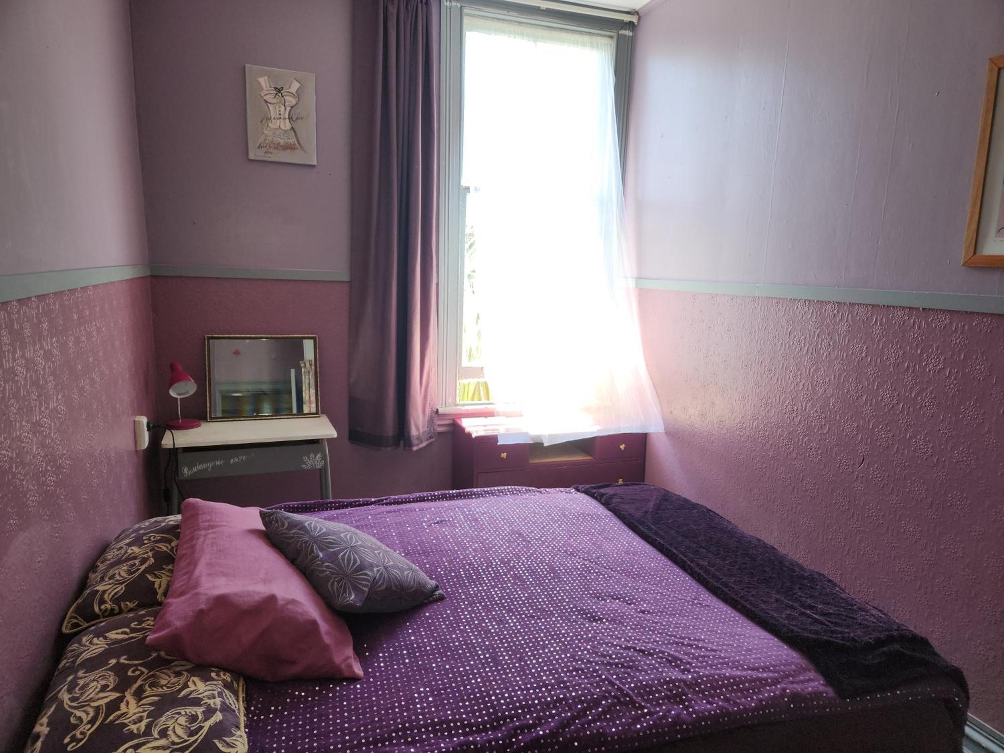 Quirky Villa Homestay Вангануї Екстер'єр фото